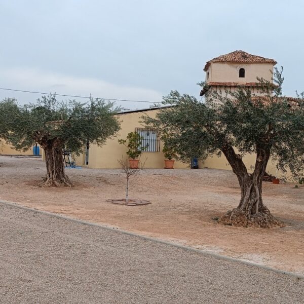 poda de formacion (1)